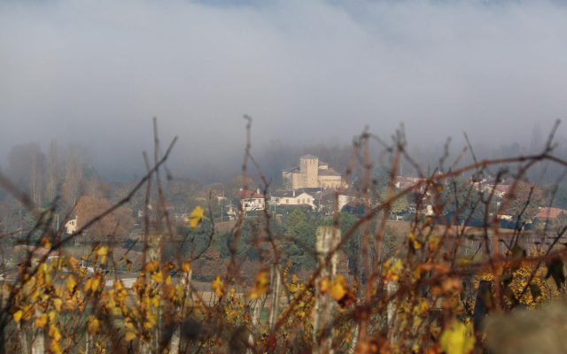 Les vignes gersoises